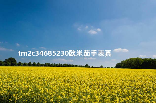 tm2c34685230欧米茄手表真假 欧米茄8位编号在哪里
